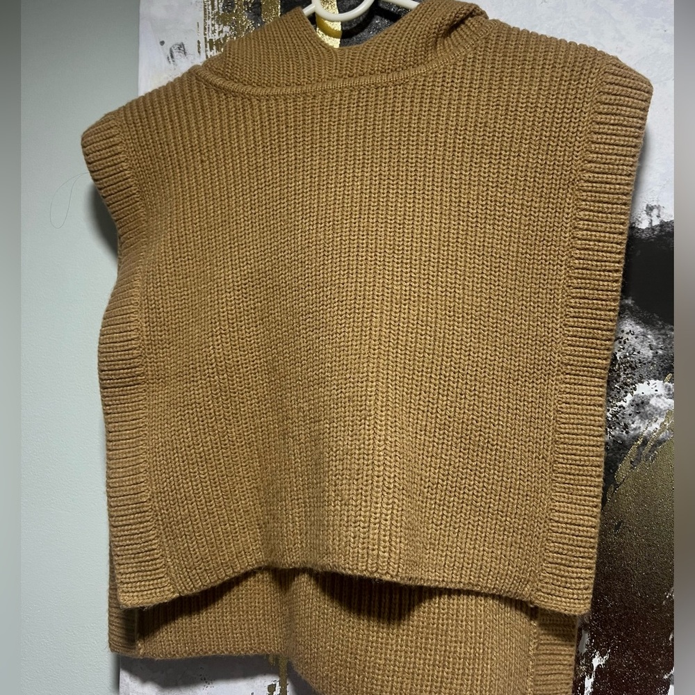 Zara Tan sweater vest